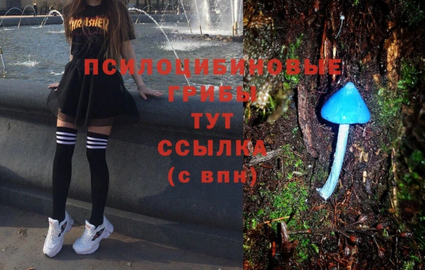 эйфоретик Баксан