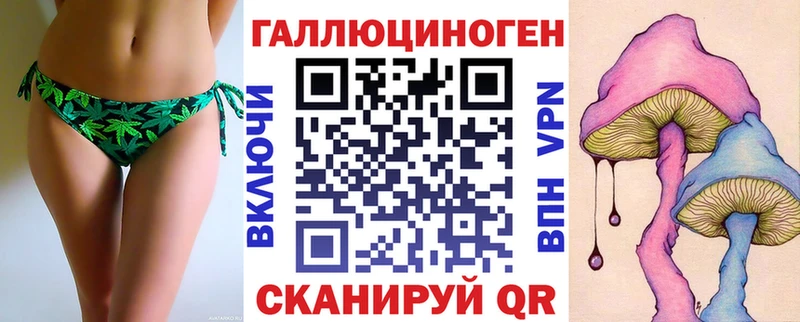 Галлюциногенные грибы GOLDEN TEACHER  наркота  Покровск 